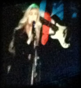 Stevie Nicks