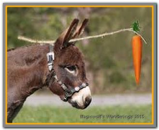 chasing carrot_1